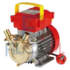 ELETTROPOMPA TRAVASO LIQUIDI Hp 1 ROVER 30CE-Lt/h.4500 giri 2850 - PEZZI 1