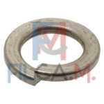 RONDELLA ELASTICA GROWER M 10 - PACCHI 10 - IN CONFEZIONE DA 100