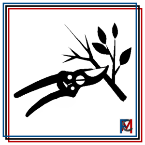 AGRICOLTURA E GIARDINAGGIO