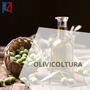 Olivicoltura